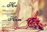 It is He Who gives life and causes death and to Him you all shall return - Quran Younus 10-56